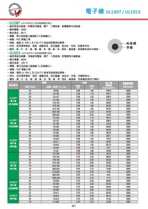 UL1007 電子線-P41