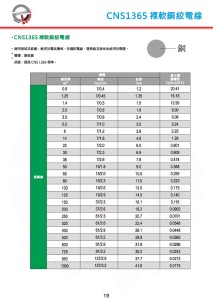 裸軟銅絞電線 (CNS1365)-P19