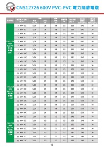 CNS12726  600V PVC-PVC電力隔離電纜-P17