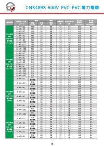 CNS4898 600V PVC-PVC 電力電纜-P6