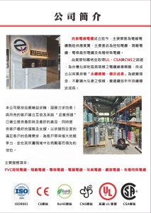 公司簡介